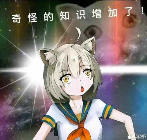 415 Unsupported Media Type